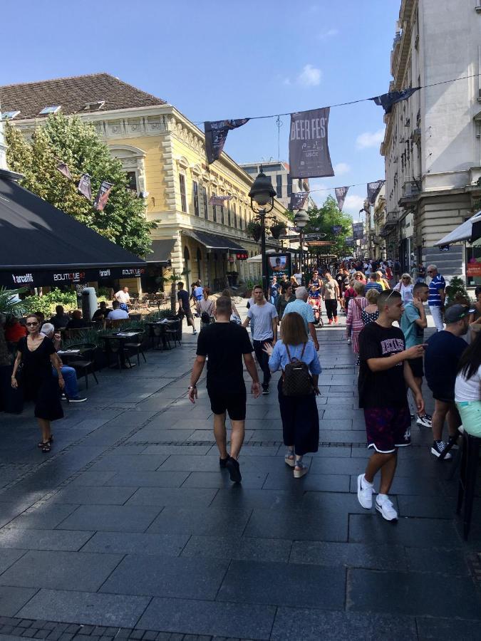 Central Location For You Belgrad Exterior foto